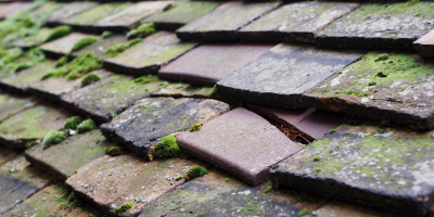 Newcastle Emlyn roof repair costs